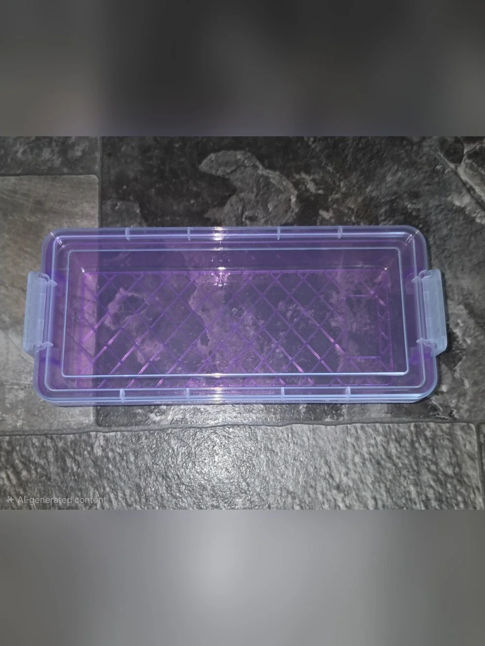 Rectangular Organzer with 2 Lock Containers in Purple BNIB